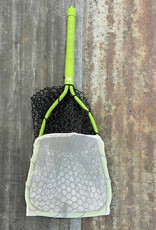 Rising Rising Bug Collection Kit -