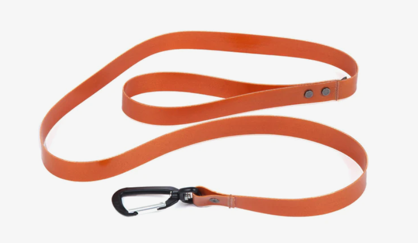 Fishpond Fishpond Salty Dog Leash
