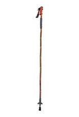 Fishpond Fishpond Grass Sticks Wading Staff