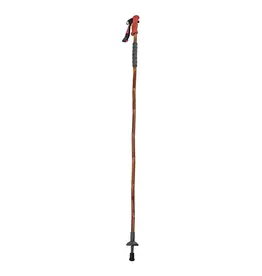 Fishpond Fishpond Grass Sticks Wading Staff