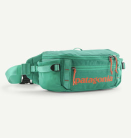Patagonia Patagonia Black Hole Waist Pack 5L