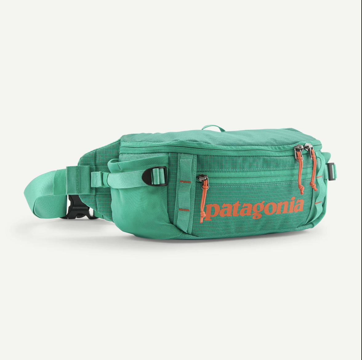 Patagonia Patagonia Black Hole Waist Pack 5L