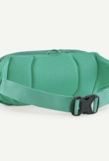 Patagonia Patagonia Black Hole Waist Pack 5L