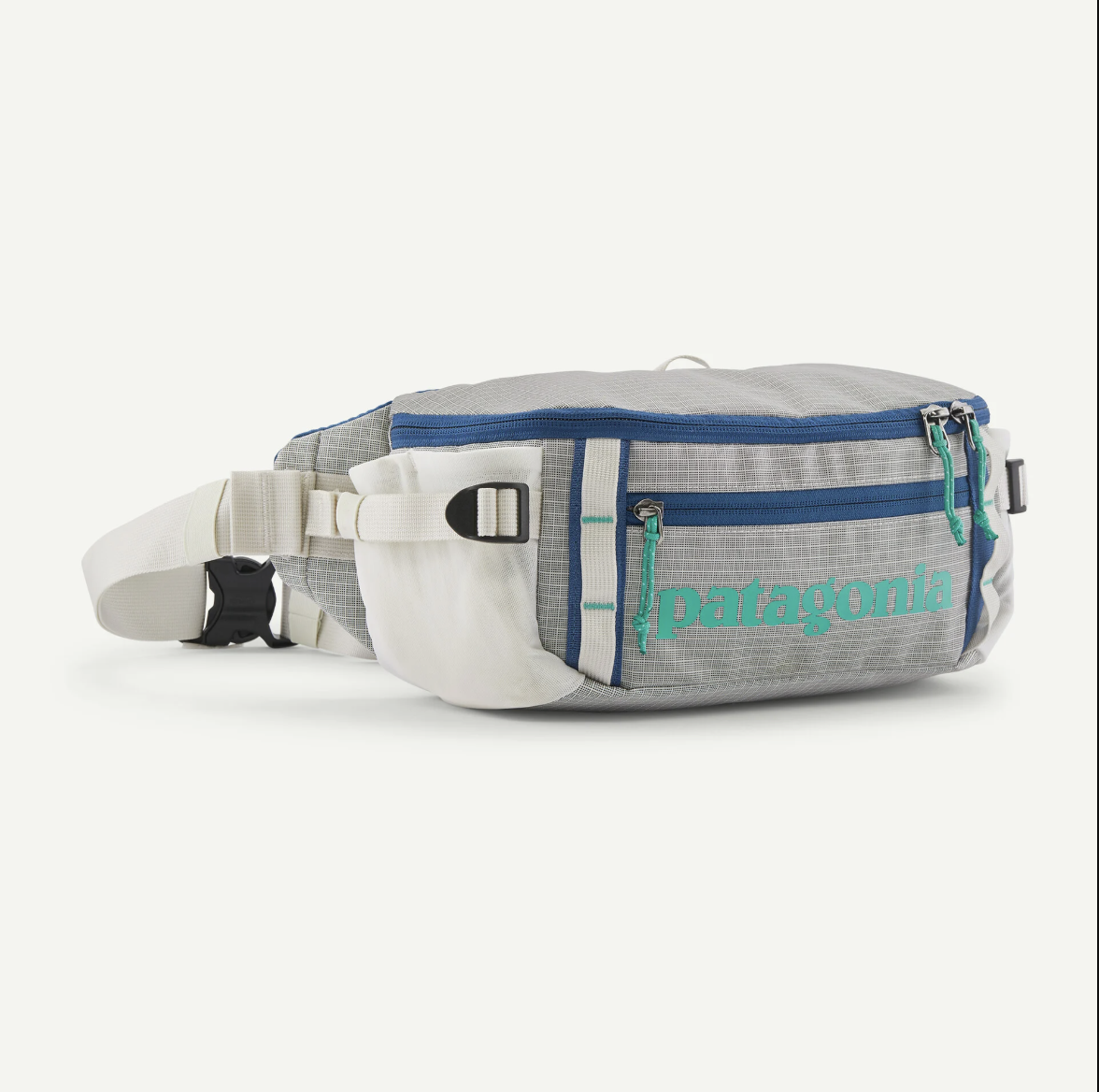 Patagonia Patagonia Black Hole Waist Pack 5L