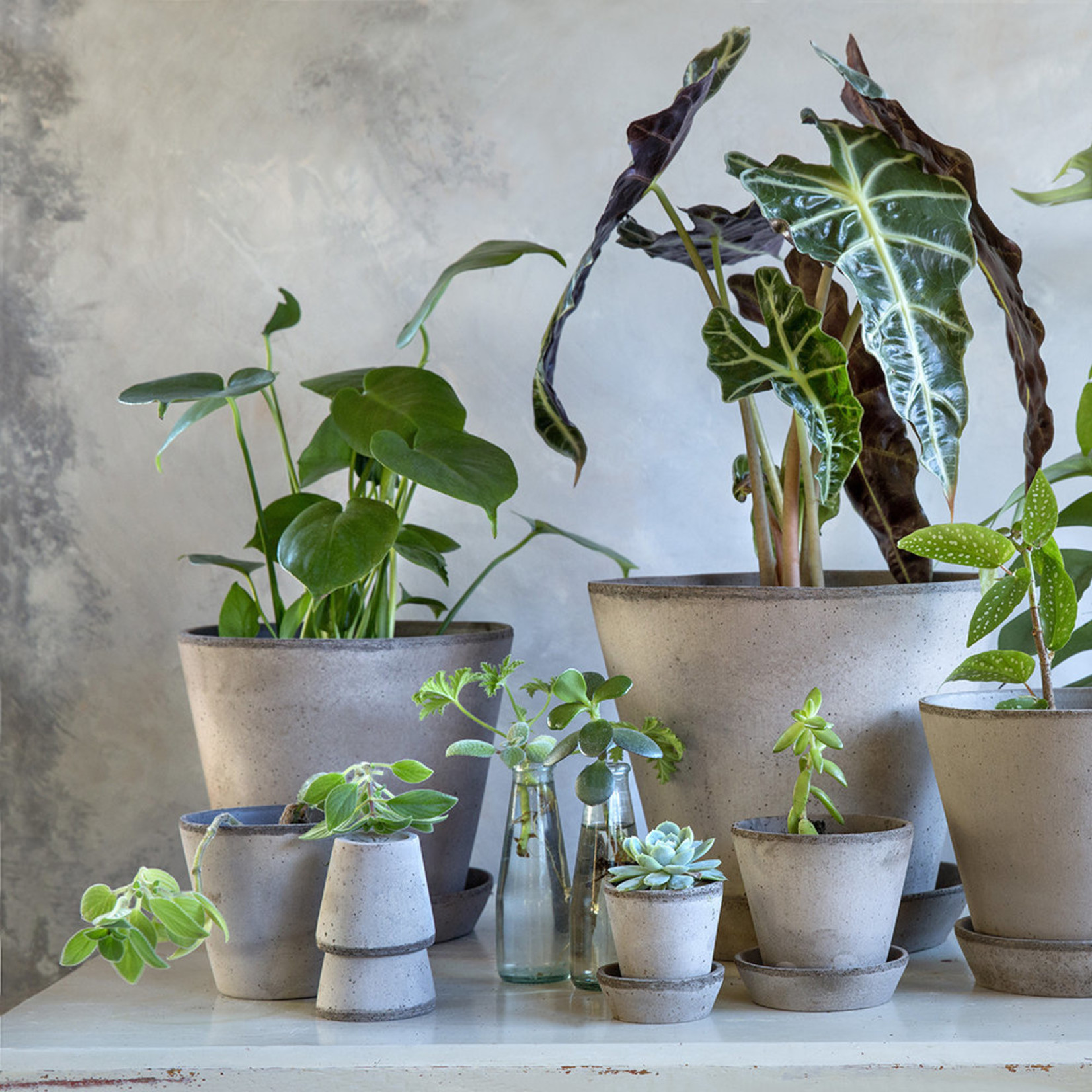 Bergs Potter BERGS POTTER The Julie Pot