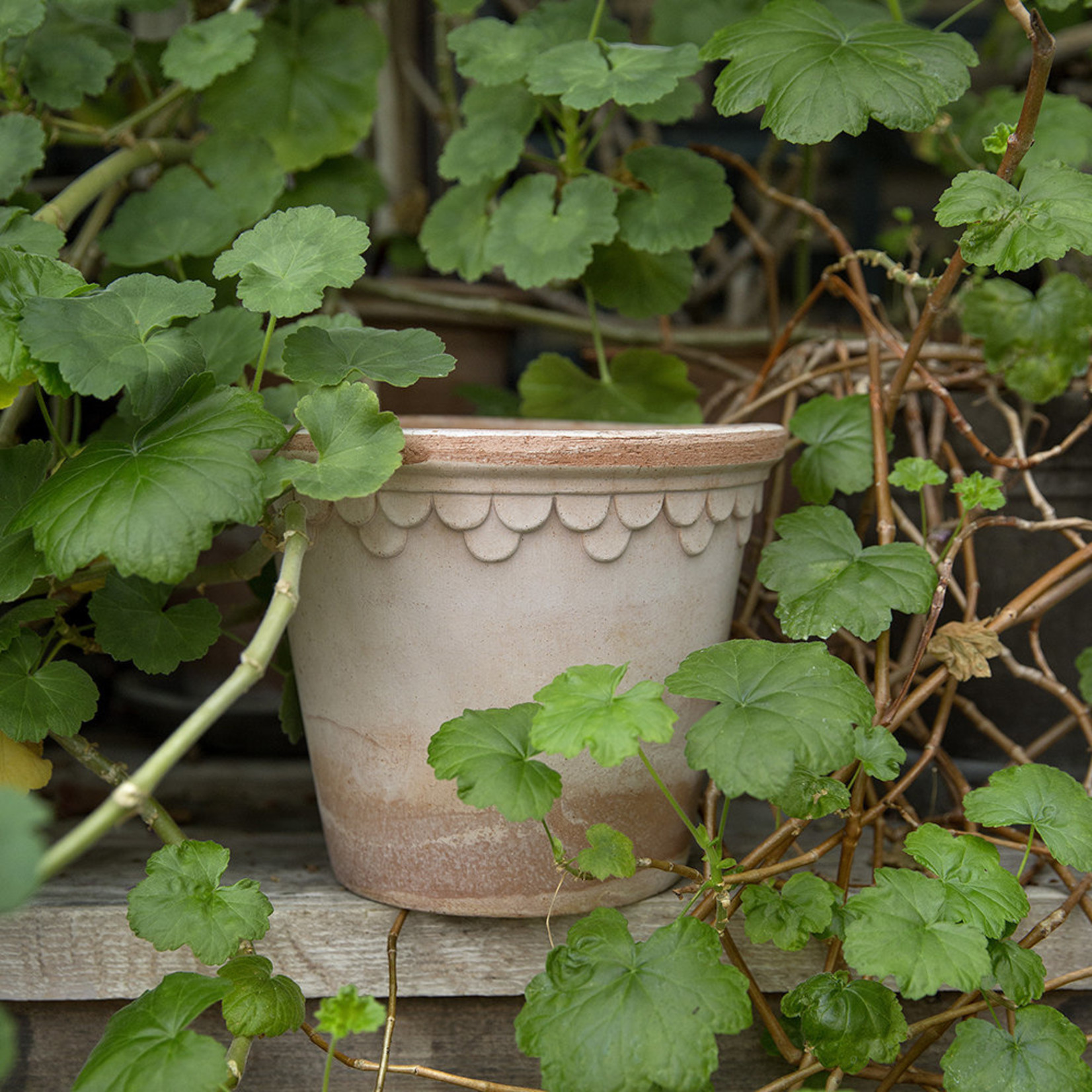 Bergs Potter BERGS POTTER The Copenhagen Pot