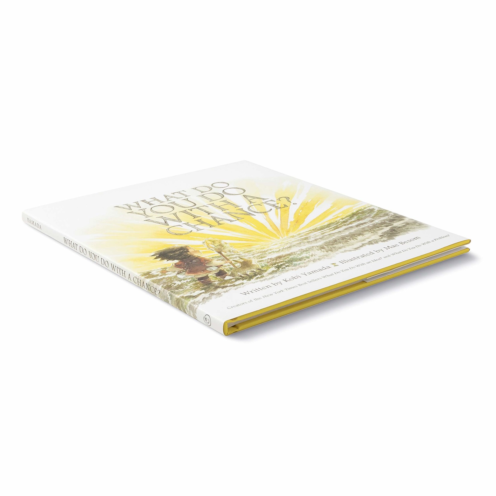 Compendium What Do You Do With A Chance?