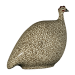 White Speckled Black French Guinea Hen