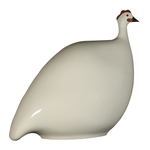 White French Guinea Hen