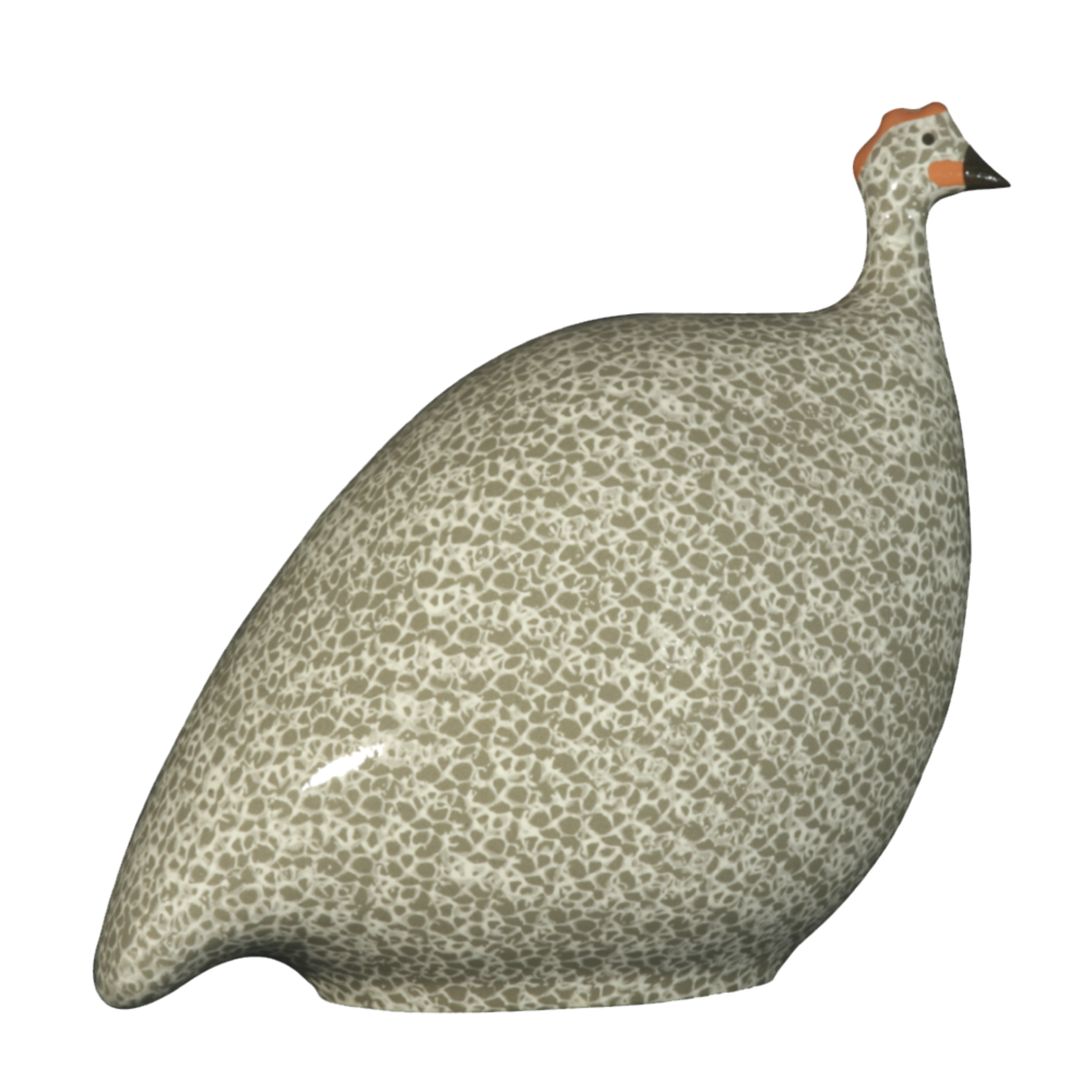 Grey Speckled White French Guinea Hen