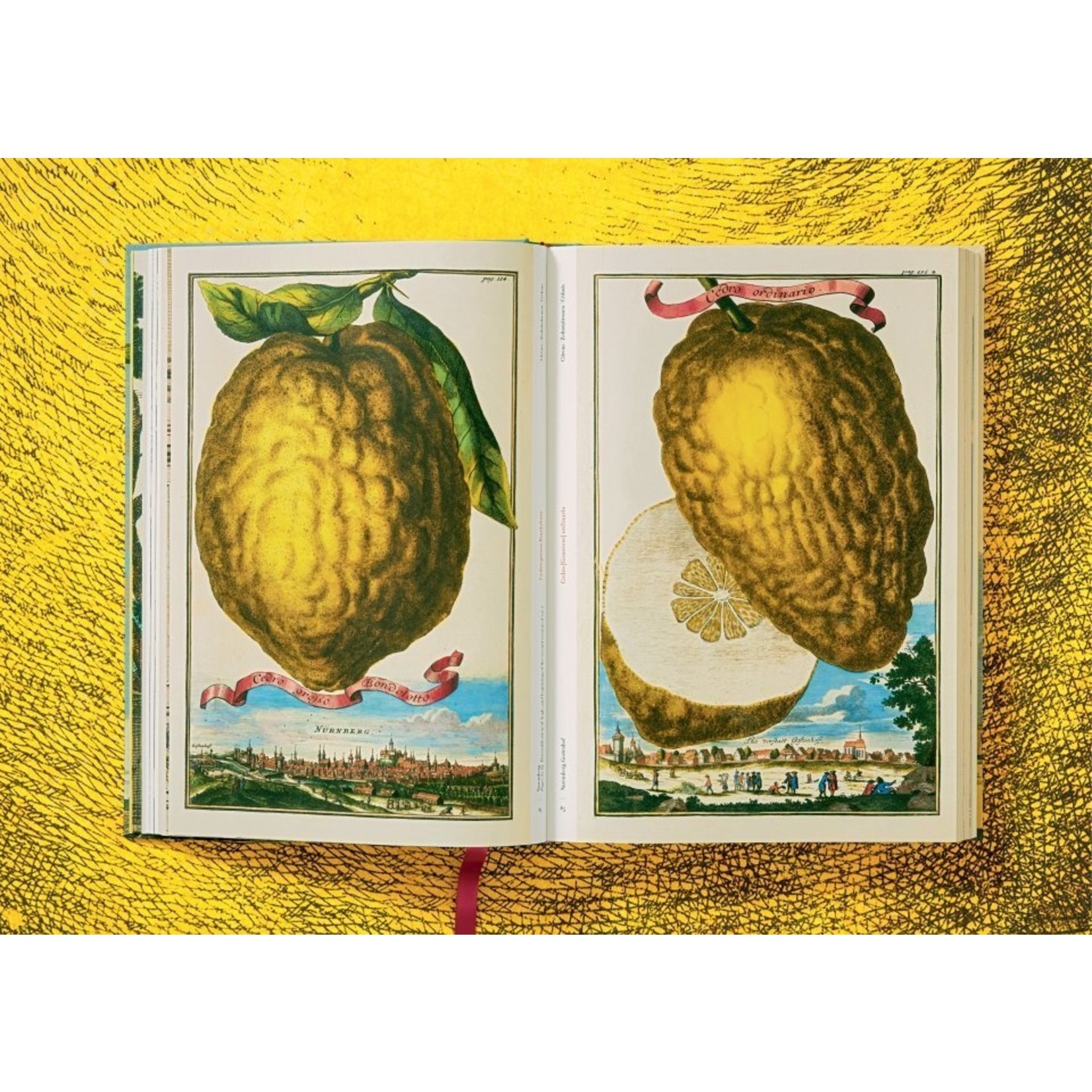 The Book of Citrus