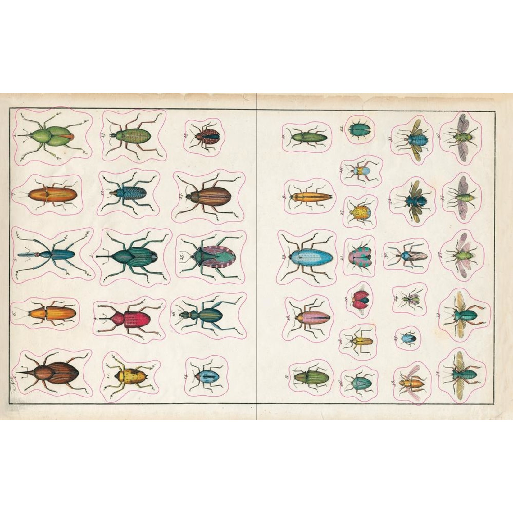 John Derian John Derian Sticker Book