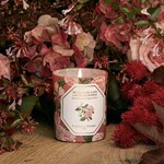 Carriere Freres Holiday Collection | Benzoin and Rose