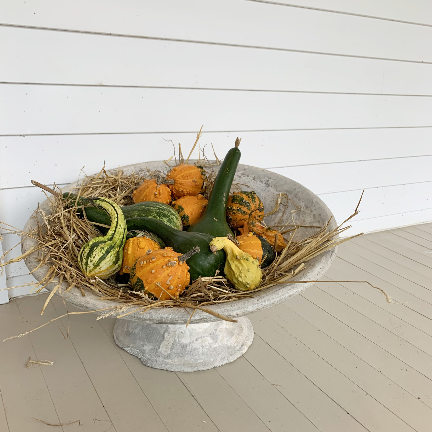 Large Antique Tilted Saucer Planter