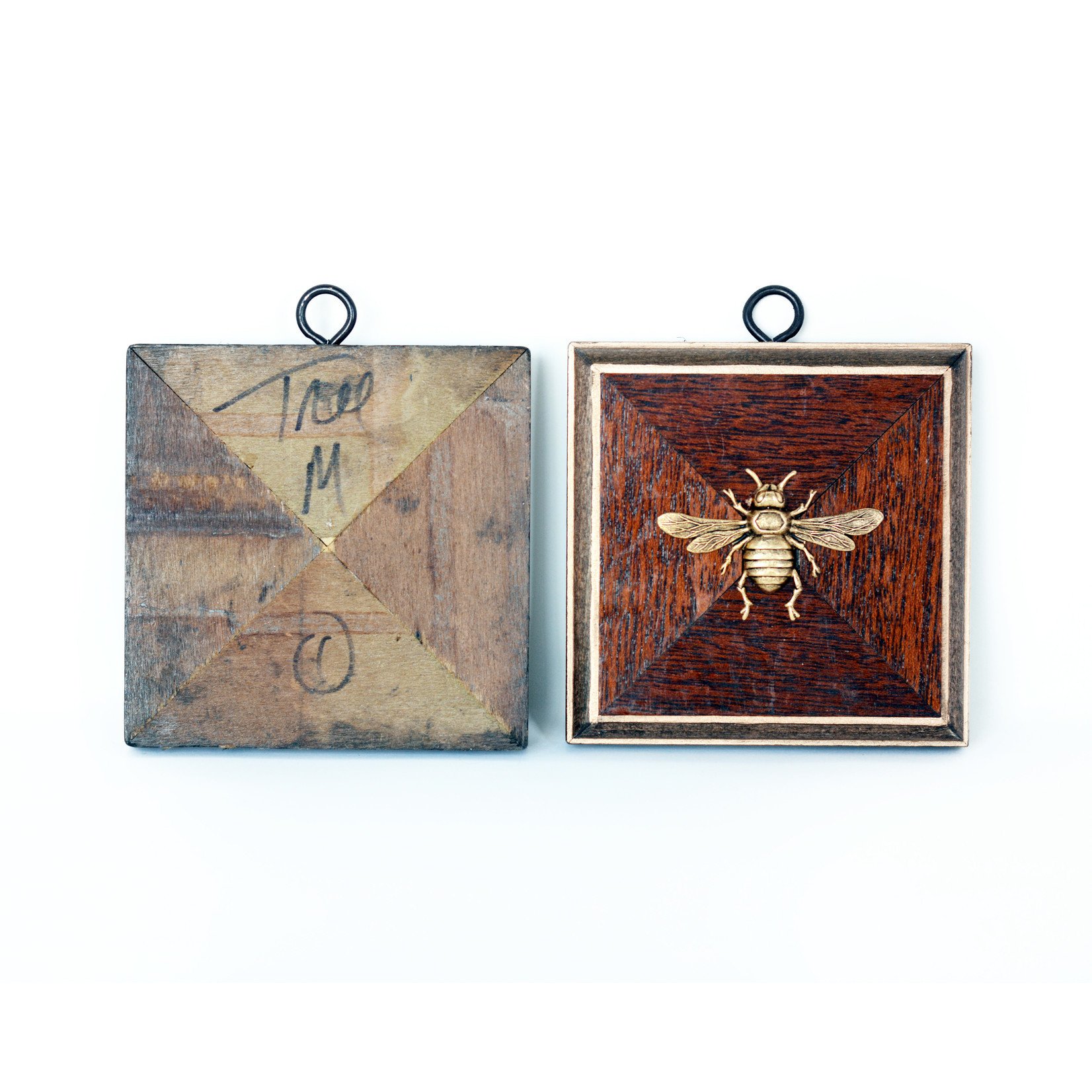 Museum Bee  by Artist Trace Mayer Medallion B