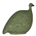 Green Anise Speckled  Green French Guinea Hen