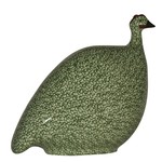 Lussan Green Anise Speckled  Green French Guinea Hen