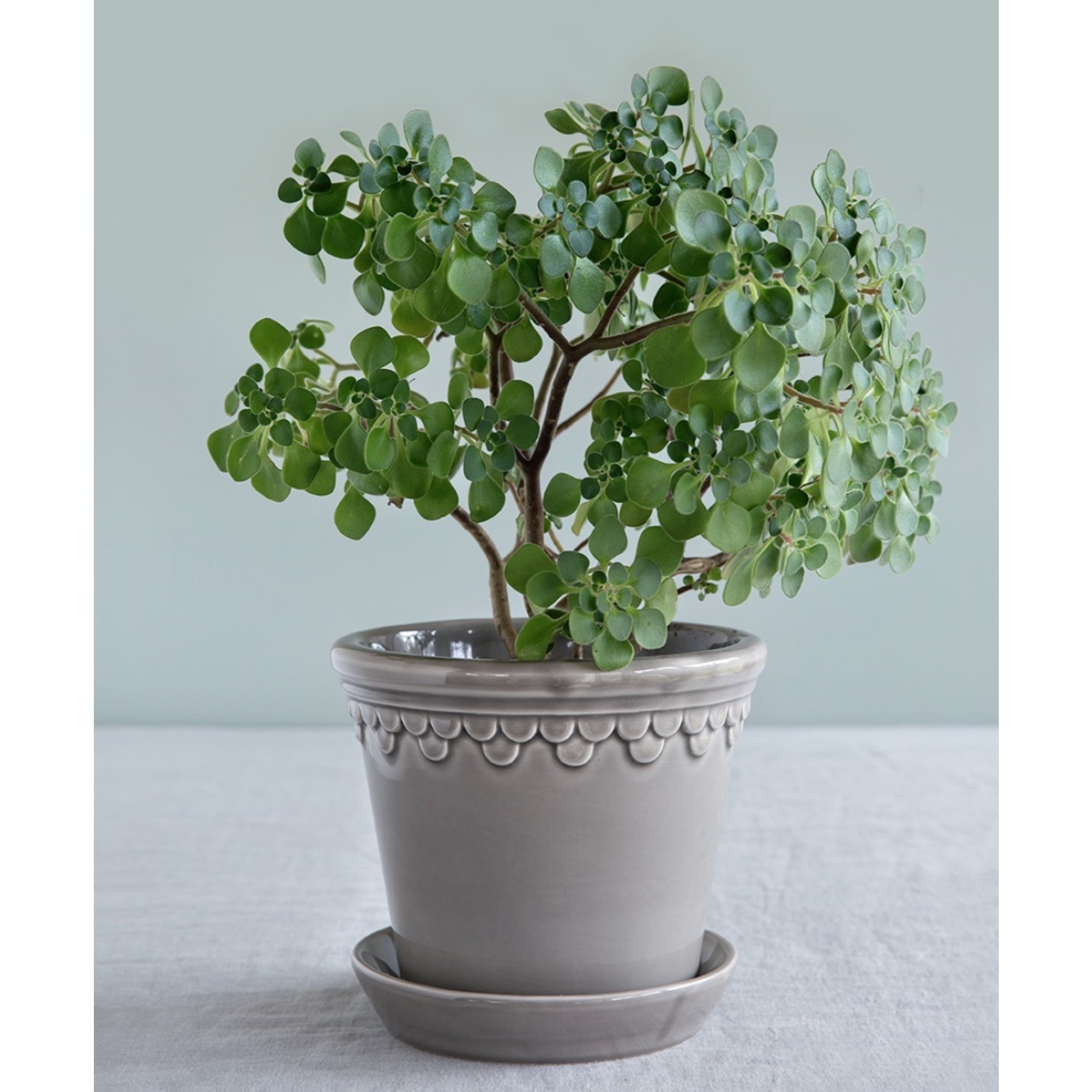 Glazed by Bergs Copenhagen Pot Grey - Crème de la Crème