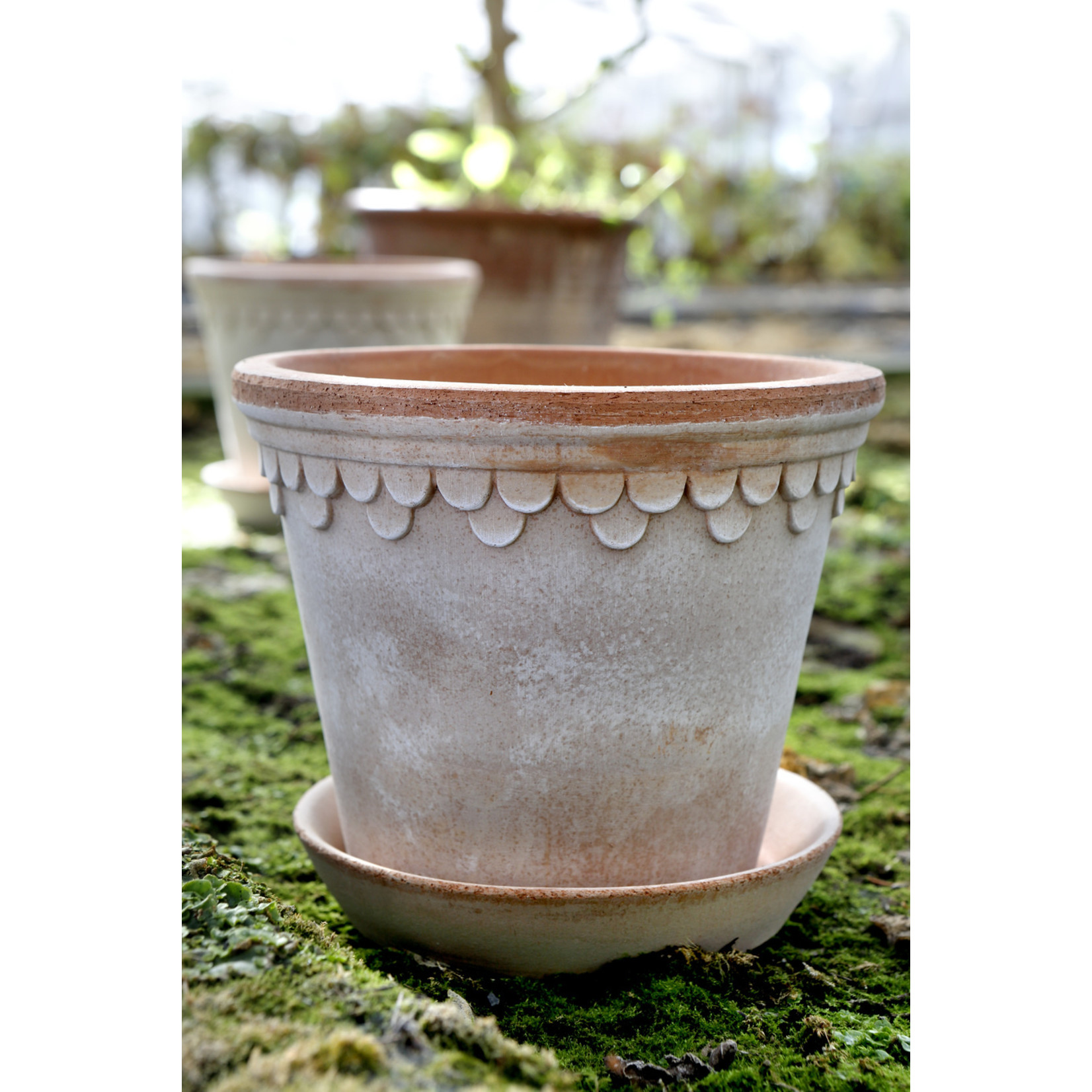 Large Outdoor Pots - Bergs Potter