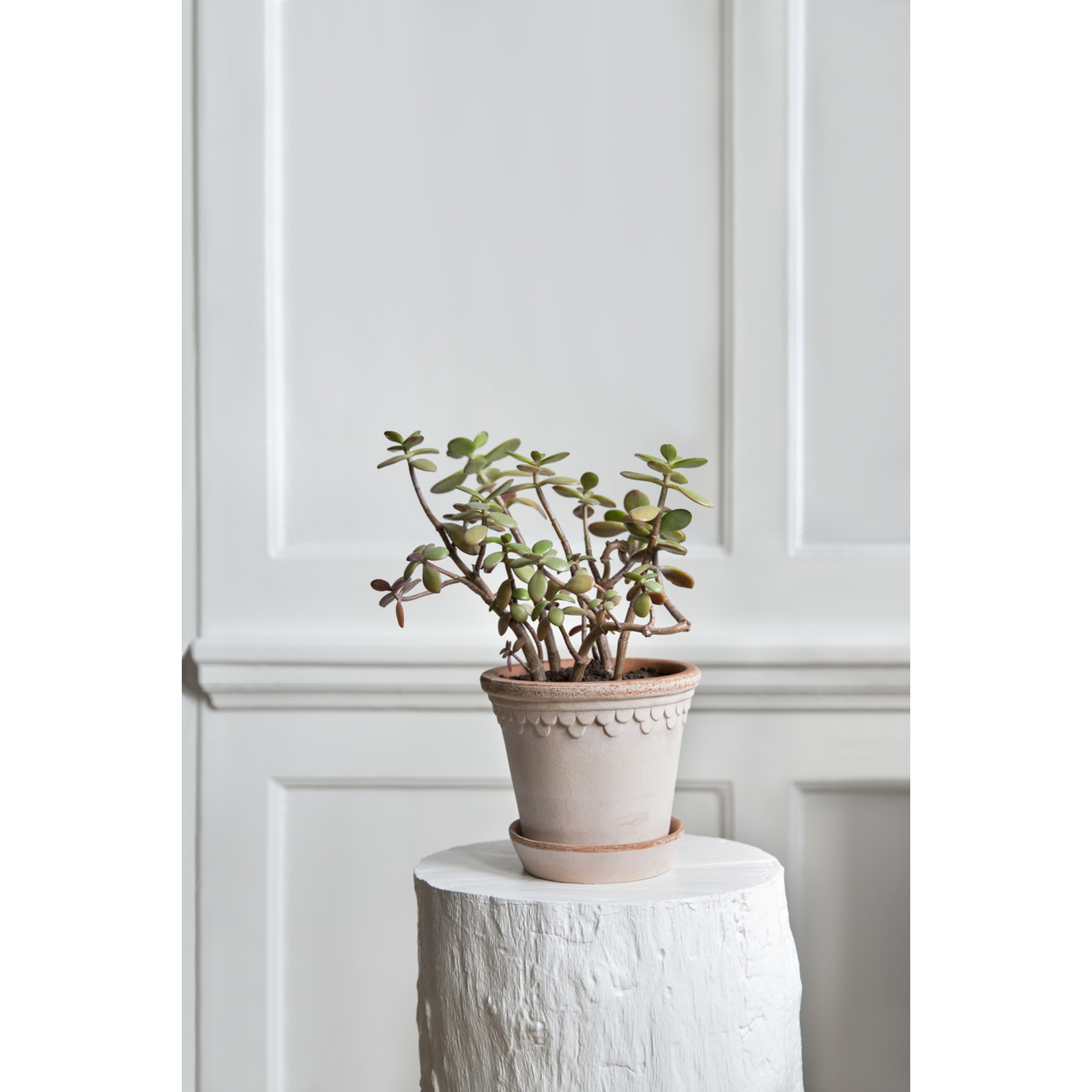 The Copenhagen Pot - Crème de la Crème
