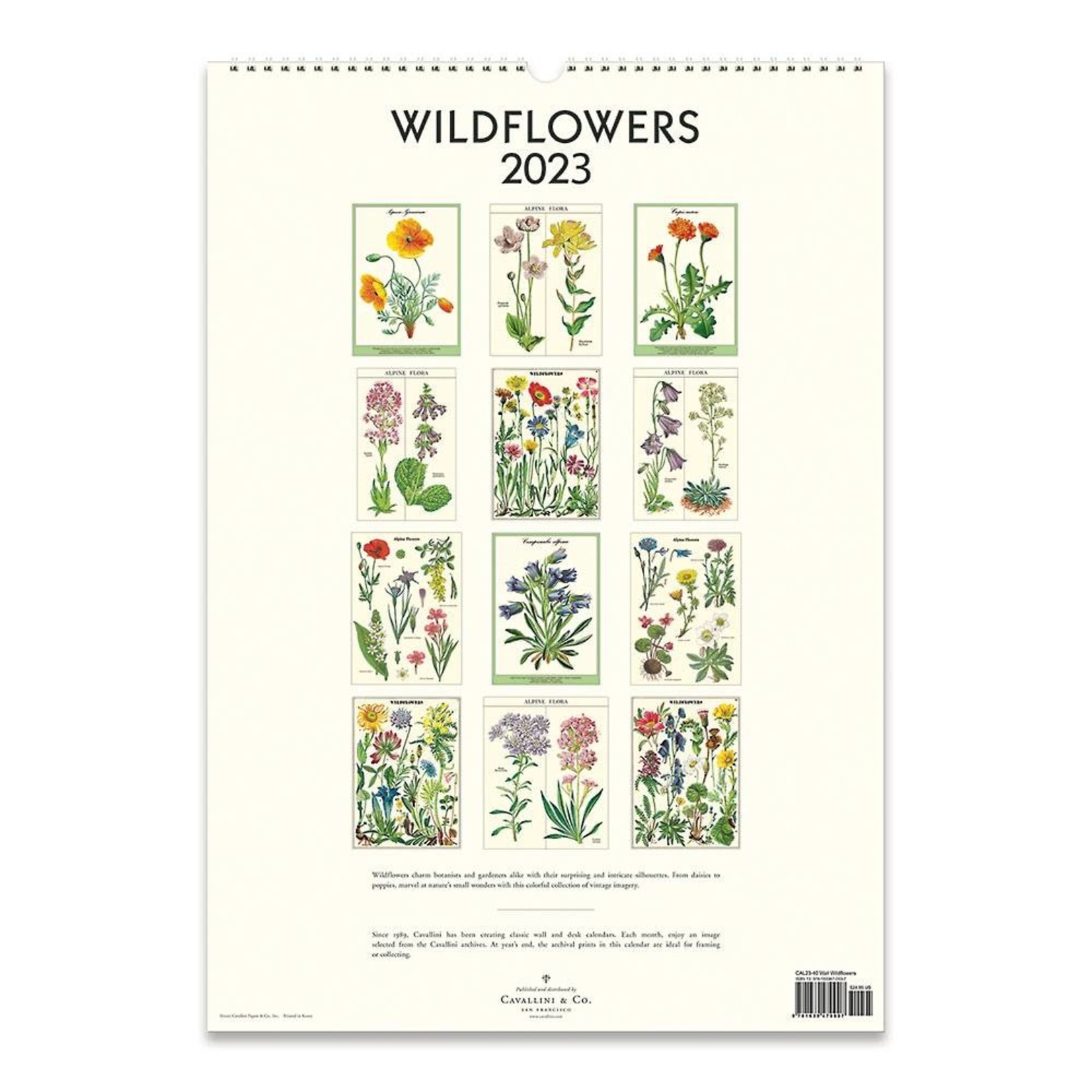 Cavallini & Co. Cavallini Wall Calendar Wildflowers