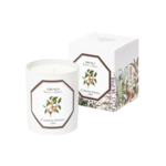 Carriere Freres Candle