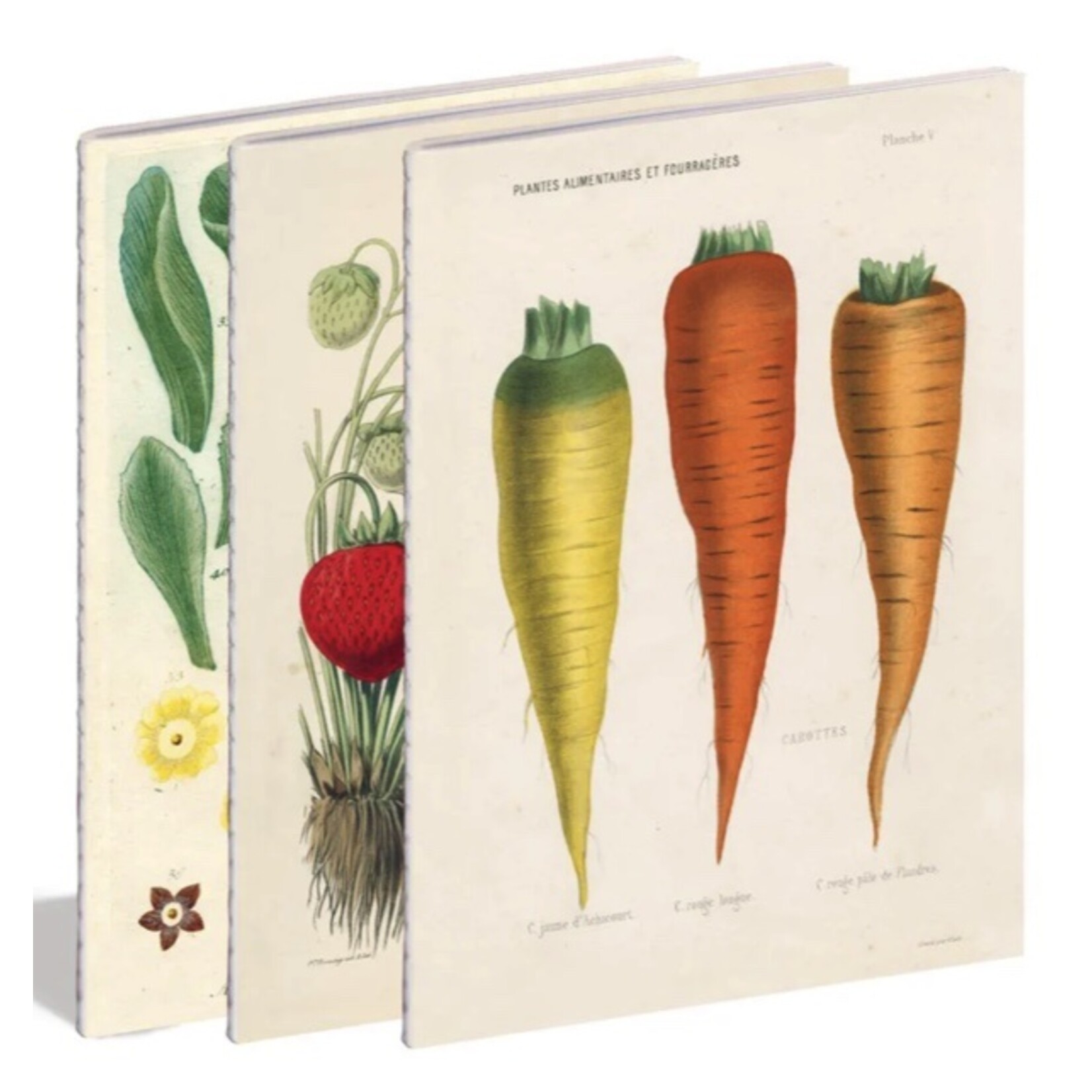 John Derian John Derian Paper Goods: Kitchen Delights Notebooks