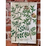 John Derian 10 x 16 Tray