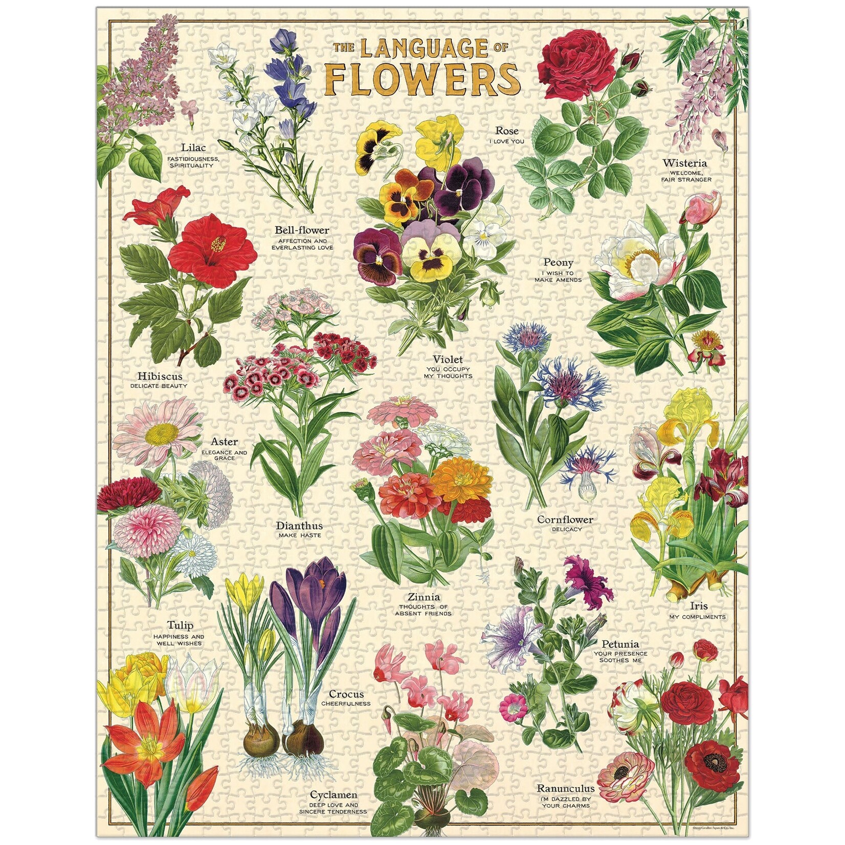 Cavallini 1000 Piece Puzzle Language of Flowers