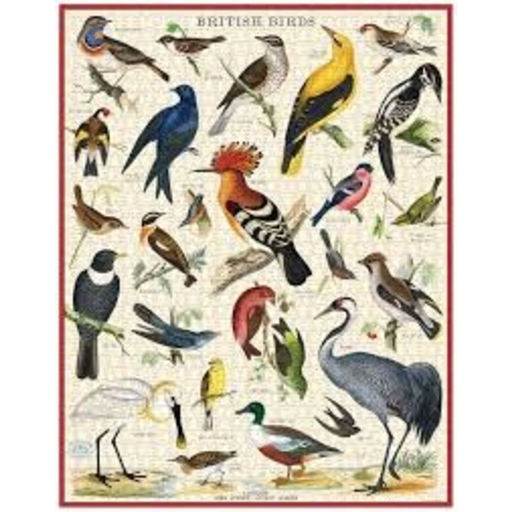 Cavallini 1000 Piece Puzzle British Birds