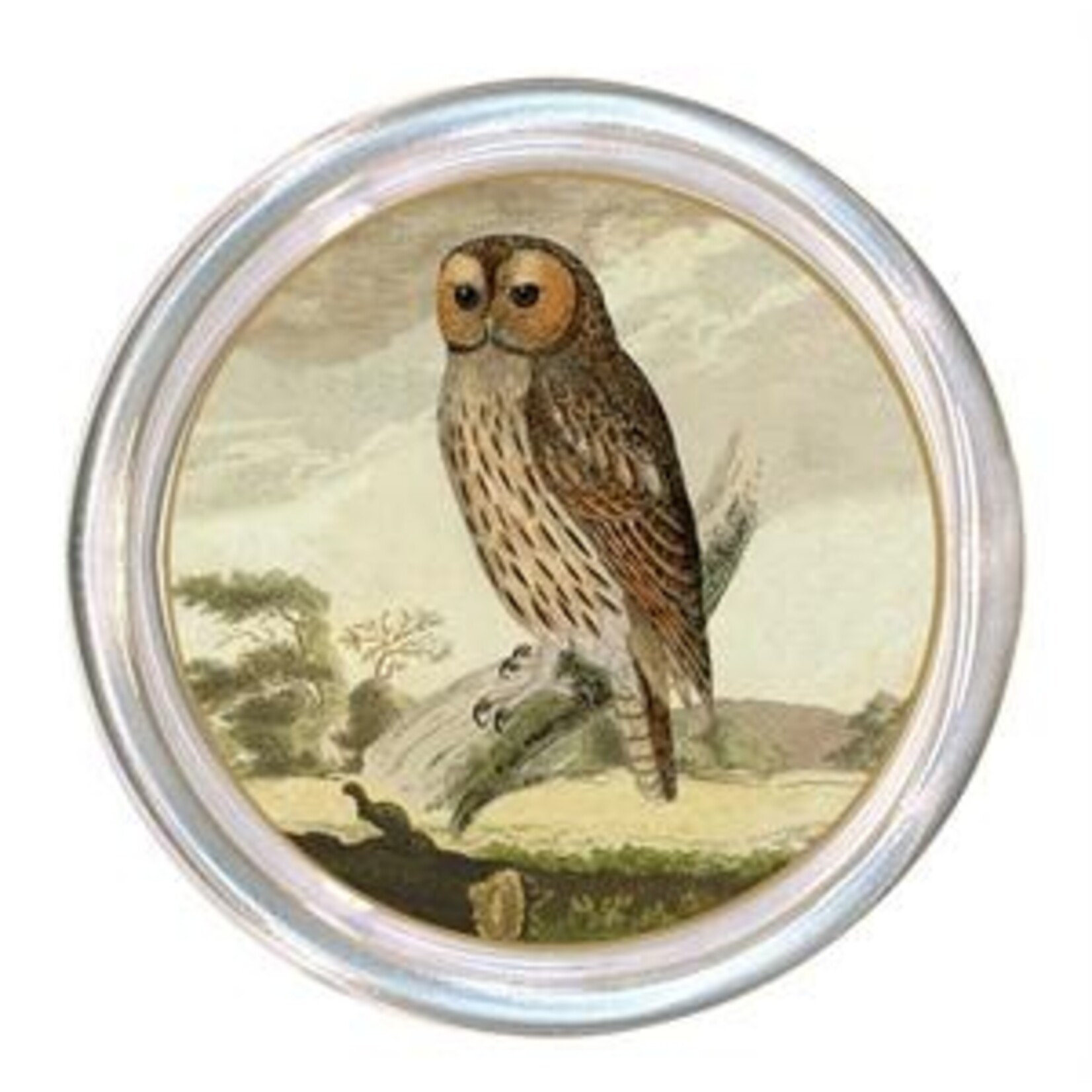 Marye Kelley MARYE KELLEY Coaster