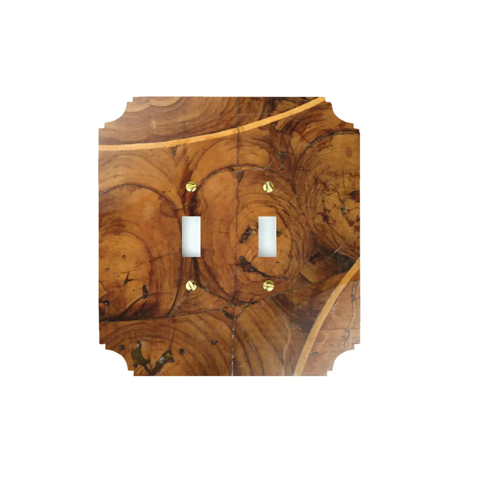 Double Switchplate