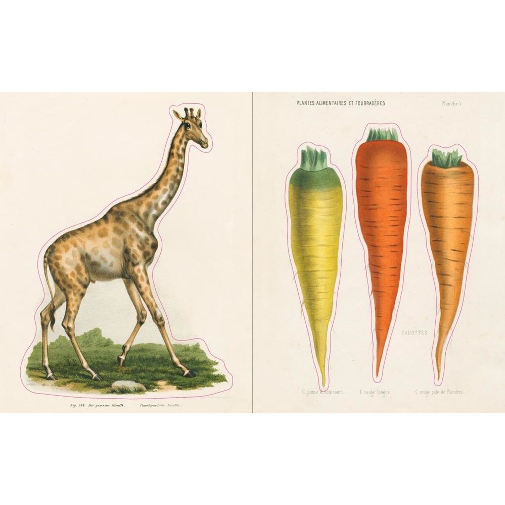 John Derian JOHN DERIAN Sticker Book