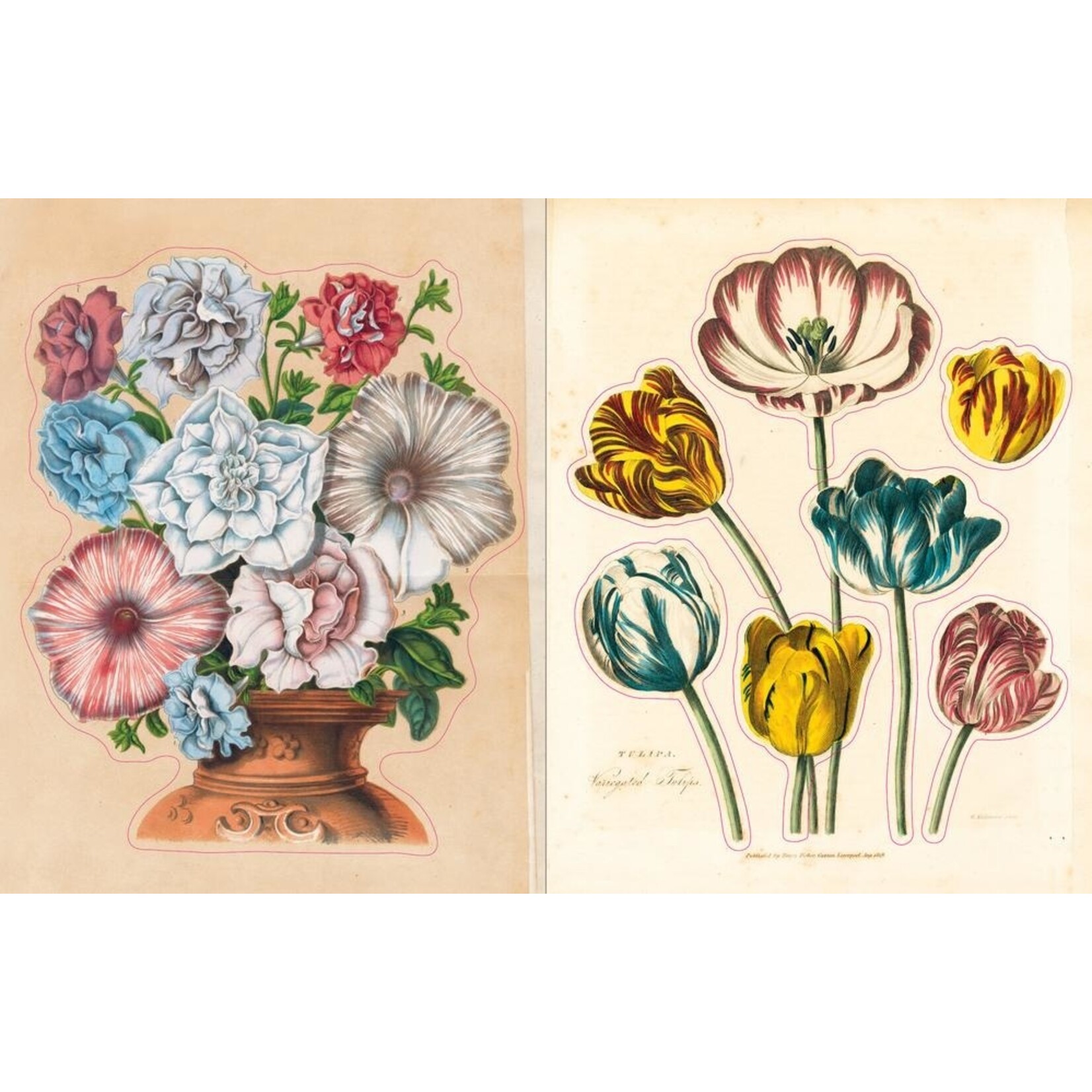 John Derian Sticker Book ステッカーブック　コラージュ John Derian Sticker Book | Jayson Home