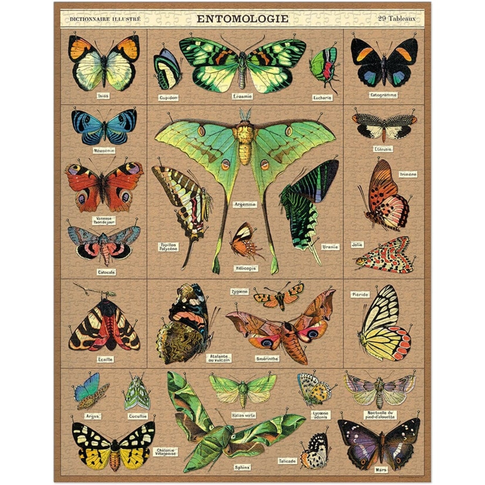 Cavallini & Co. Cavallini 1000 Piece Puzzle Entomology