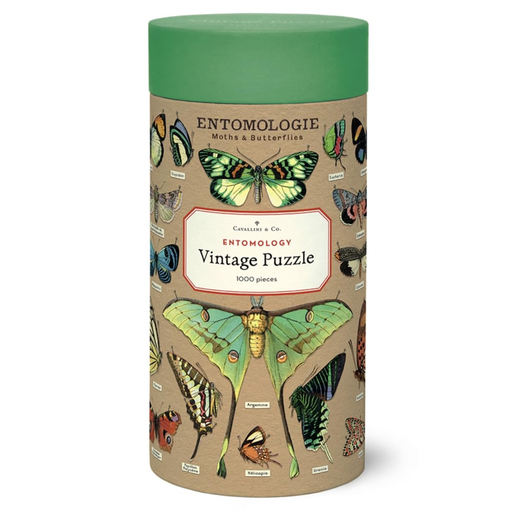 Cavallini & Co. Cavallini 1000 Piece Puzzle Entomology