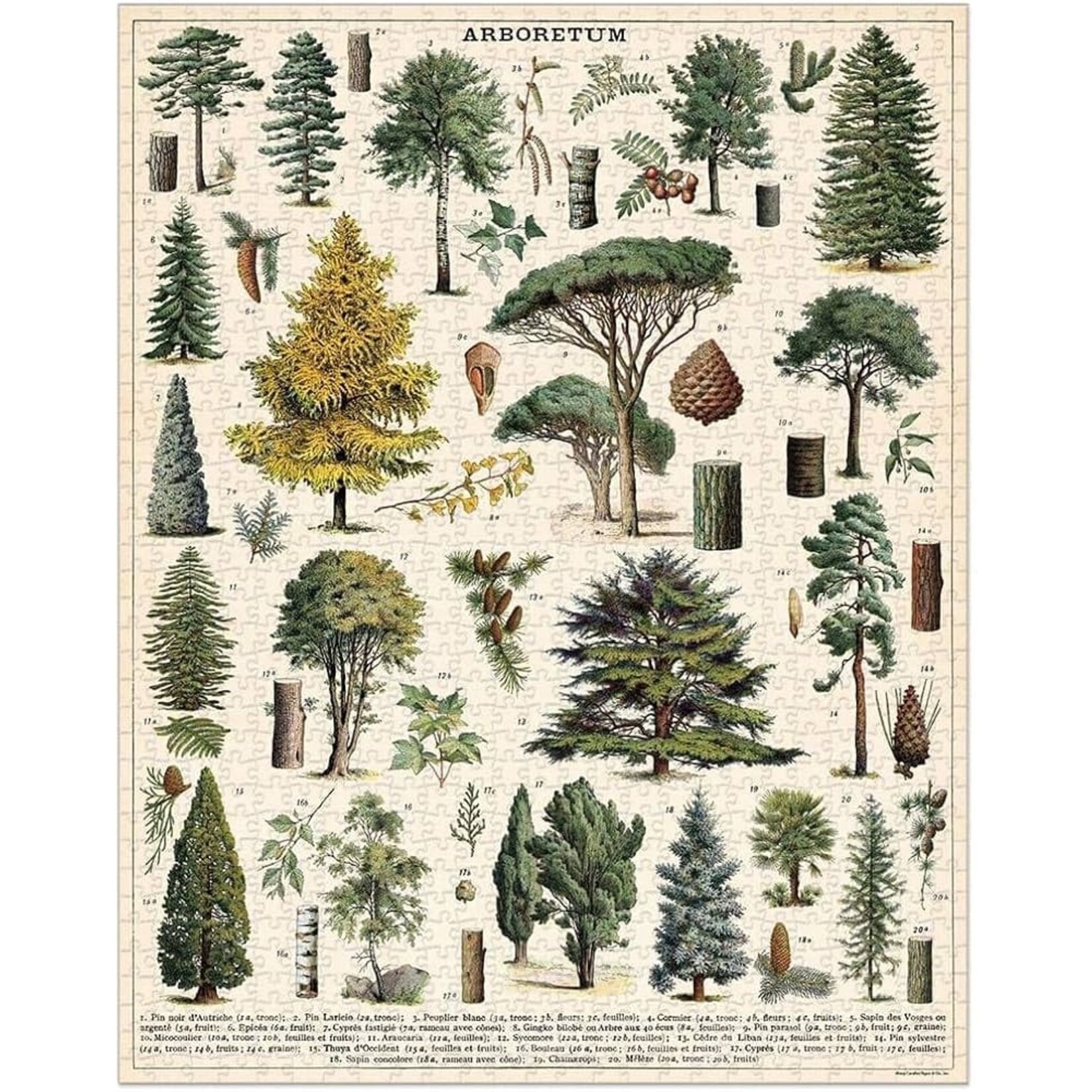 Cavallini & Co. CAVALLINI 1000 Piece Puzzle Arboretum