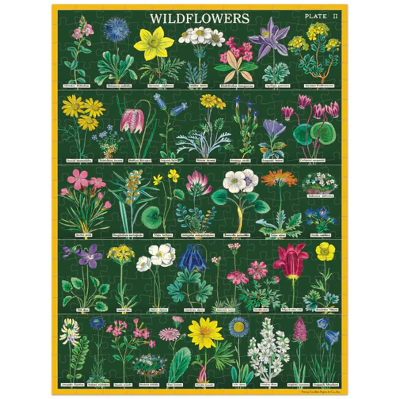 Cavallini 240 Piece Mini Puzzle