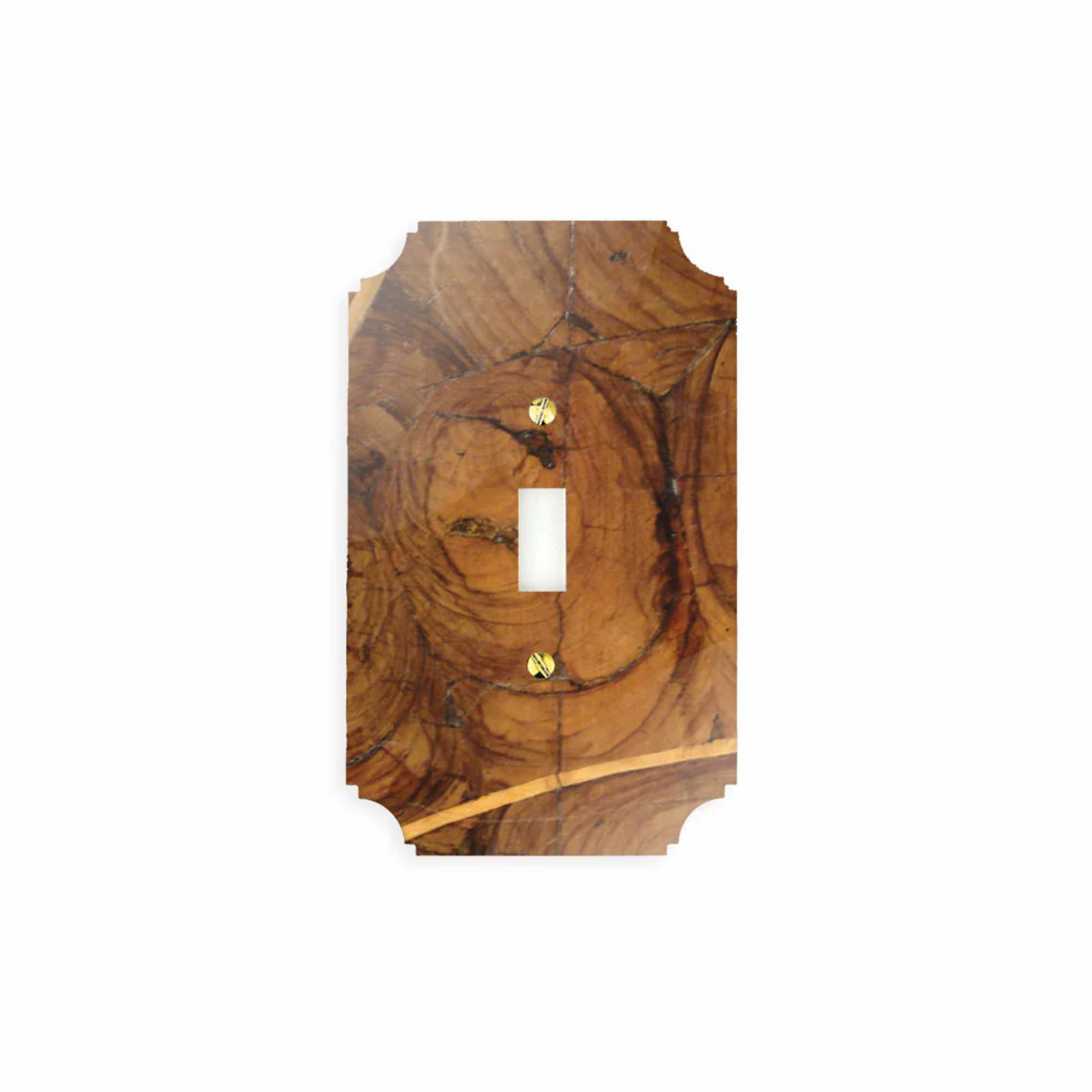 Single Switchplate