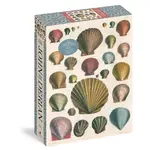 John Derian- Shells 1000 Piece Puzzle