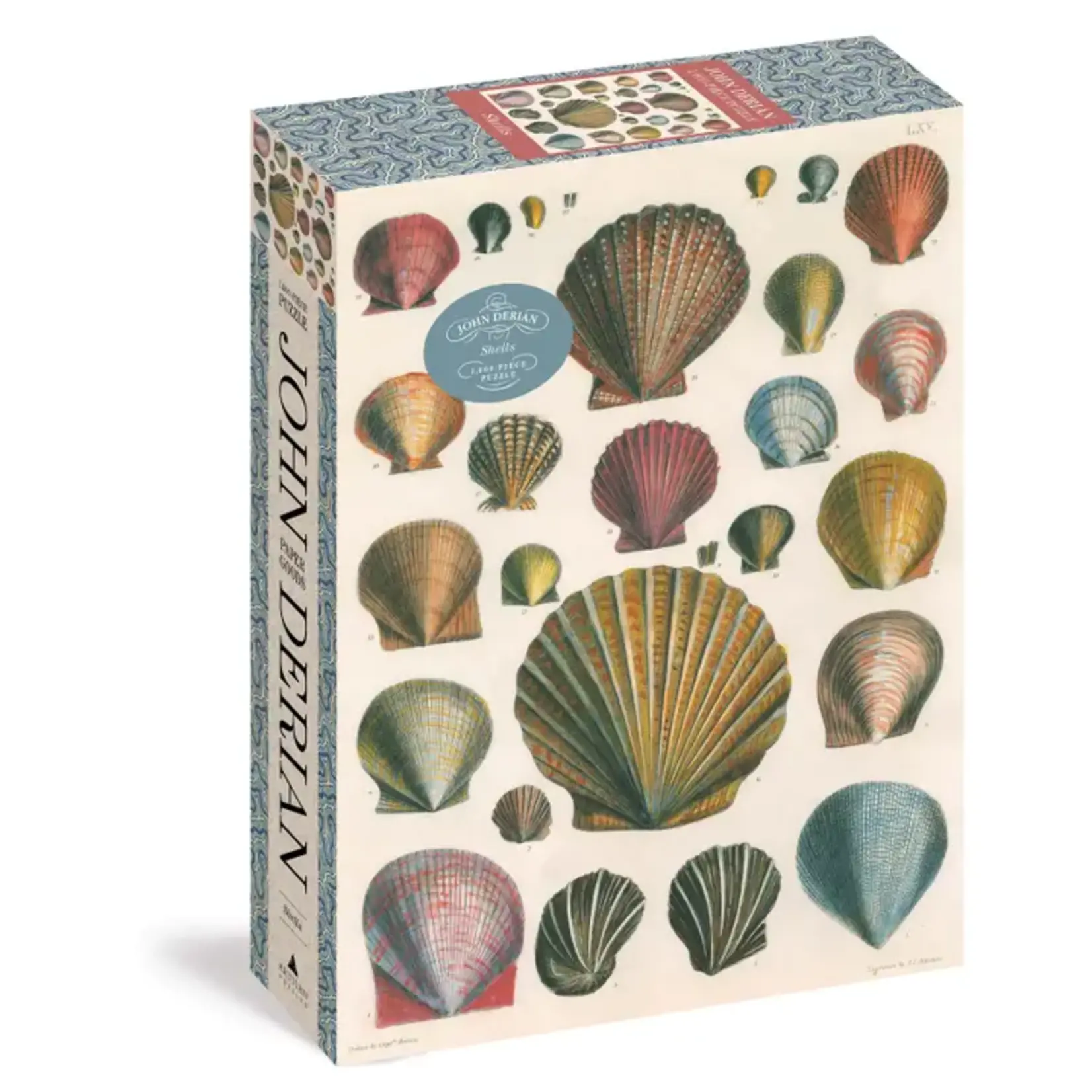 John Derian Shells- 1000 Piece Puzzle