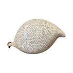 White Speckled Grey French Guinea Hen Pecking