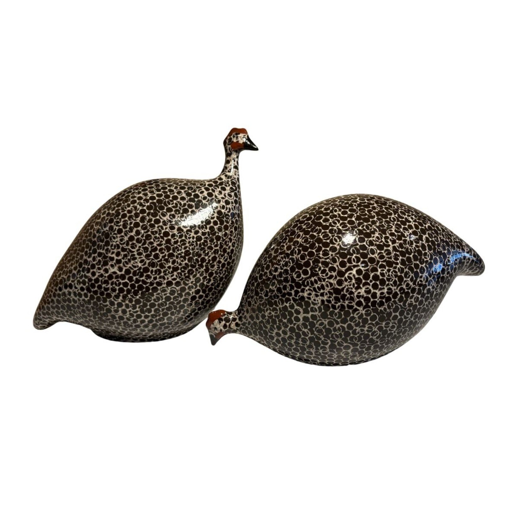 Lussan Black Speckled White French Guinea Hen Pecking