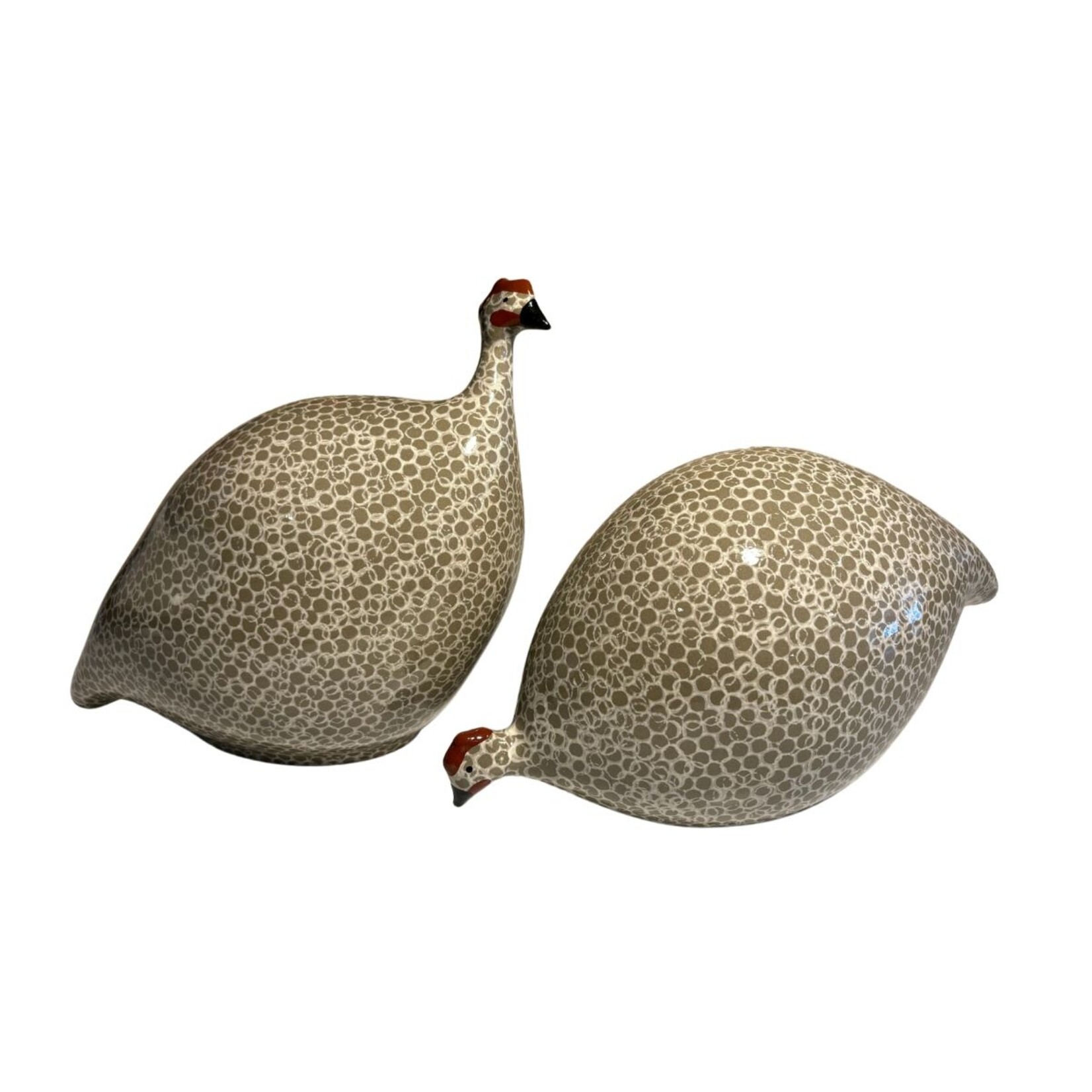 Grey Speckled White French Guinea Hen Pecking
