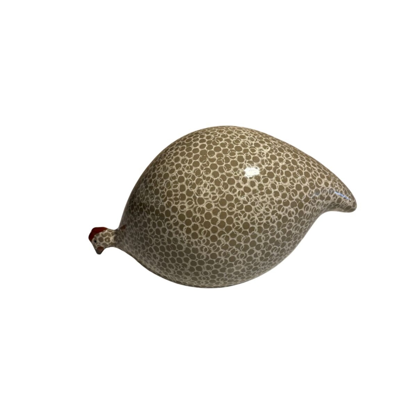 Grey Speckled White French Guinea Hen Pecking