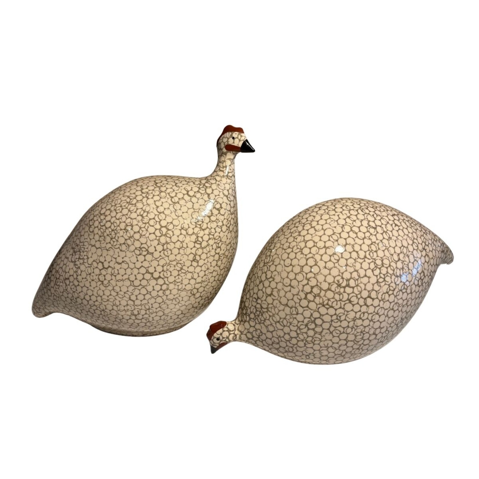 Lussan White Speckled Grey French Guinea Hen Pecking