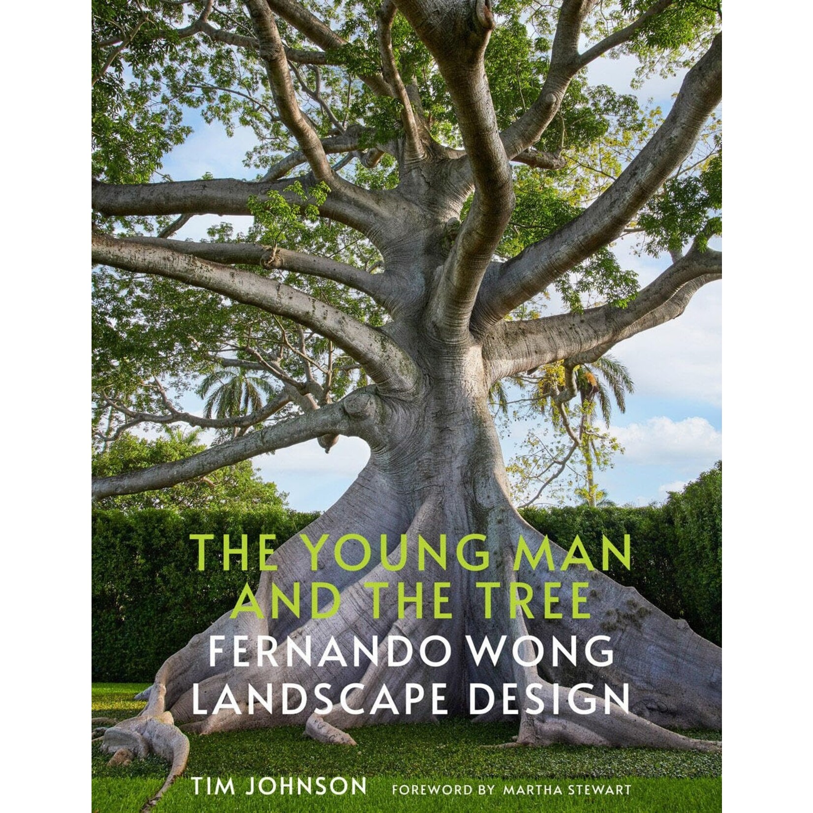 The Young Man and the Tree: Fernando Wong Landscape Design