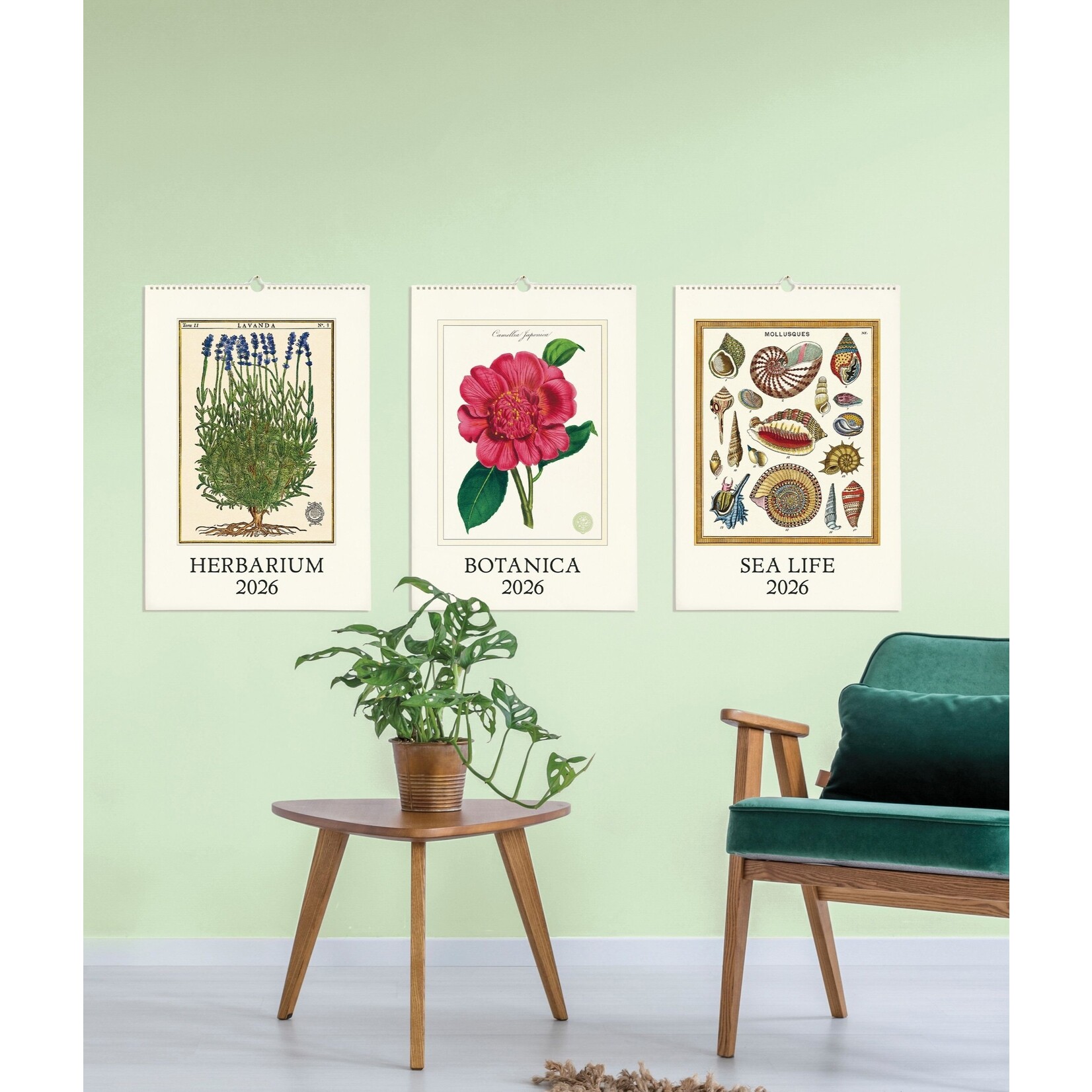 Cavallini & Co. CAVALLINI Wall Calendar