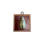 Museum Bees TRACE MAYER Museum Bees- Cicada 3