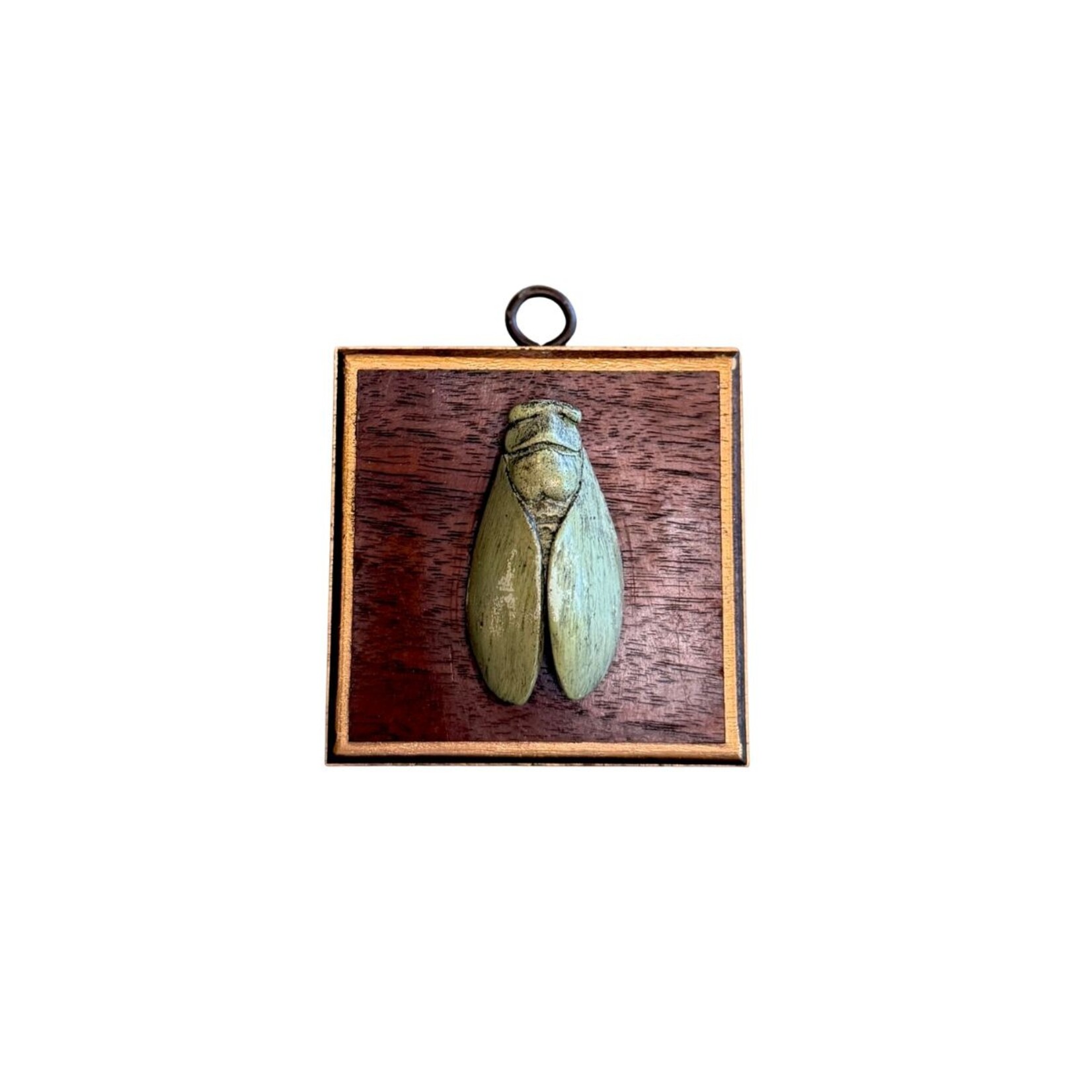 Museum Bees TRACE MAYER Museum Bees- Cicada 3